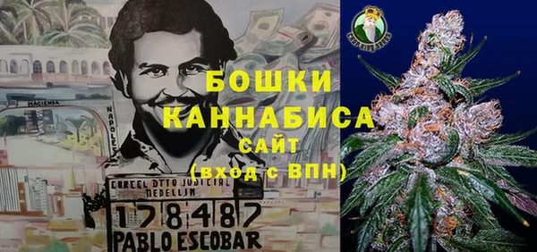 шишки Арсеньев