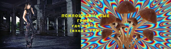 MESCALINE Алзамай